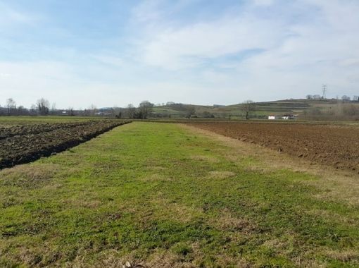 ADAPAZARI ÖRENTEPE MAHALLESİNDE SATILIK 891 M2 TARLA